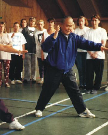 >Tai Chi Ausbildung: Yang Zhenduo Bogenschritt-Demo